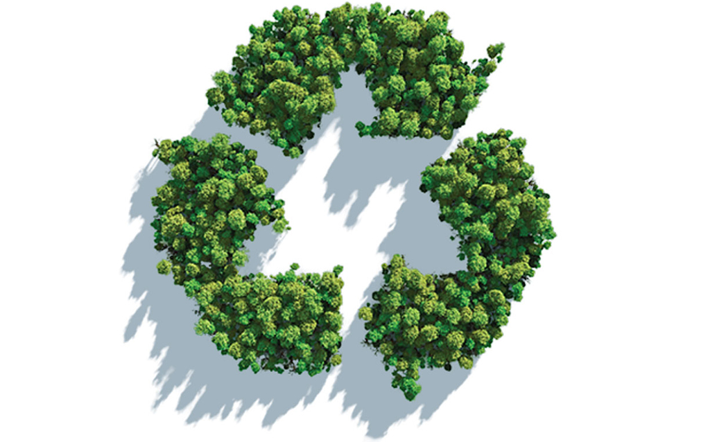 Environmental Sustainability Policy