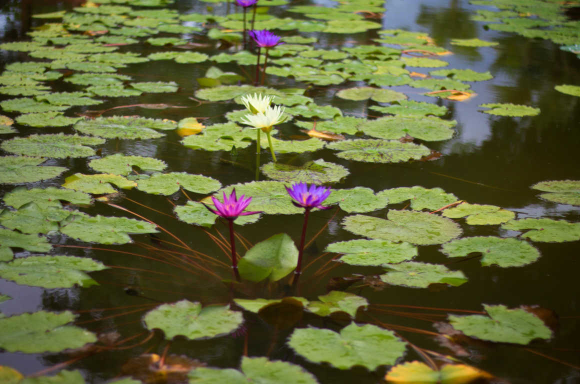 The Nibbana Spa - Amata Garden Resort, Bagan | Amata Hotel Group Myanmar